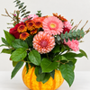 Blushing Harvest