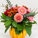Blushing Harvest