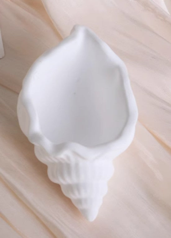 Conch-Shaped Small Dish